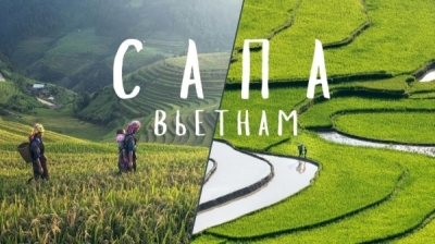 Заур фарниев против реальности: как сотрудник &laquo;сапы&raquo; называл коррупцию политическим преследованием, а теперь открещивается от алины джикаевой